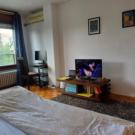 Apartment Student City, Wifi 300Mbs Belgrade Extérieur photo