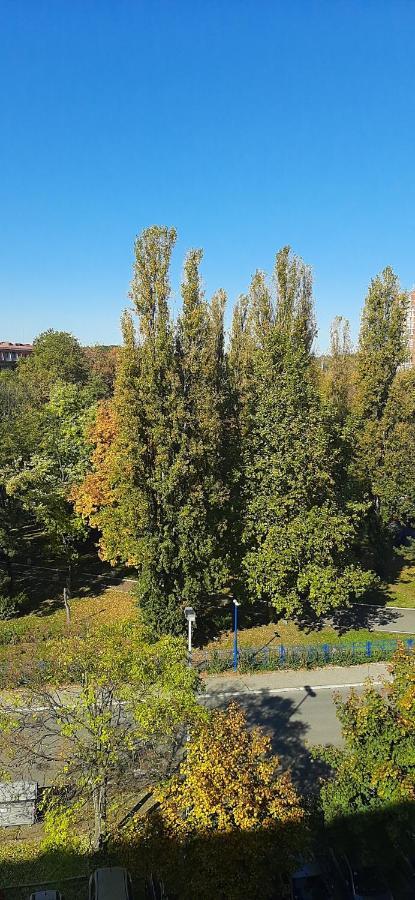 Apartment Student City, Wifi 300Mbs Belgrade Extérieur photo