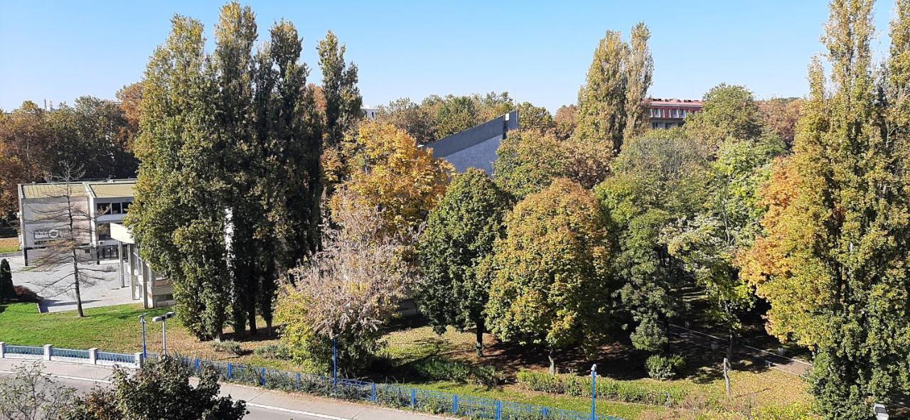 Apartment Student City, Wifi 300Mbs Belgrade Extérieur photo