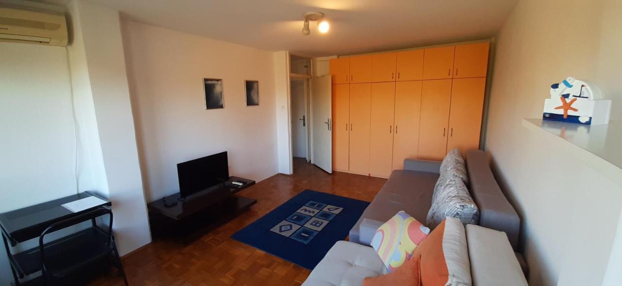 Apartment Student City, Wifi 300Mbs Belgrade Extérieur photo